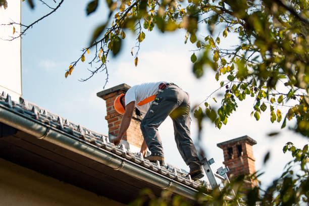 Best Roofing Contractor Near Me  in Carlinvle, IL