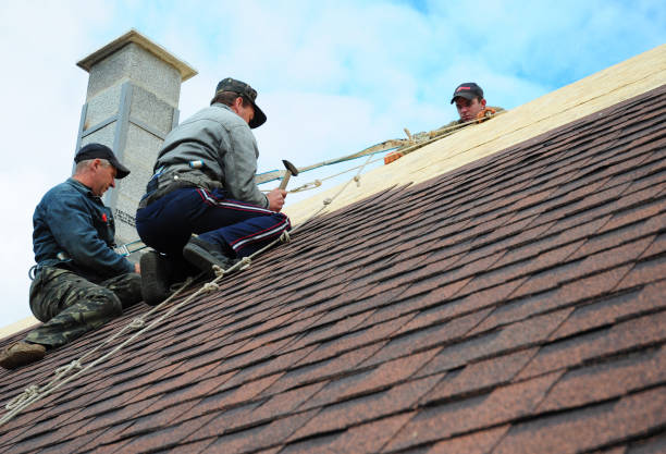 Best New Roof Installation  in Carlinvle, IL